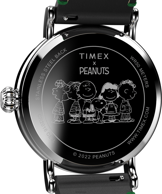 klokker | Timex standard x peanøtter med snoopy vinterklokke med 40 mm lærreim menn B84BR197 sølv-tone/brun/blå - Image 4